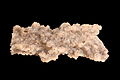 Fulgurite IMG 6541.jpg