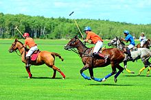 Full gallop polo.jpg