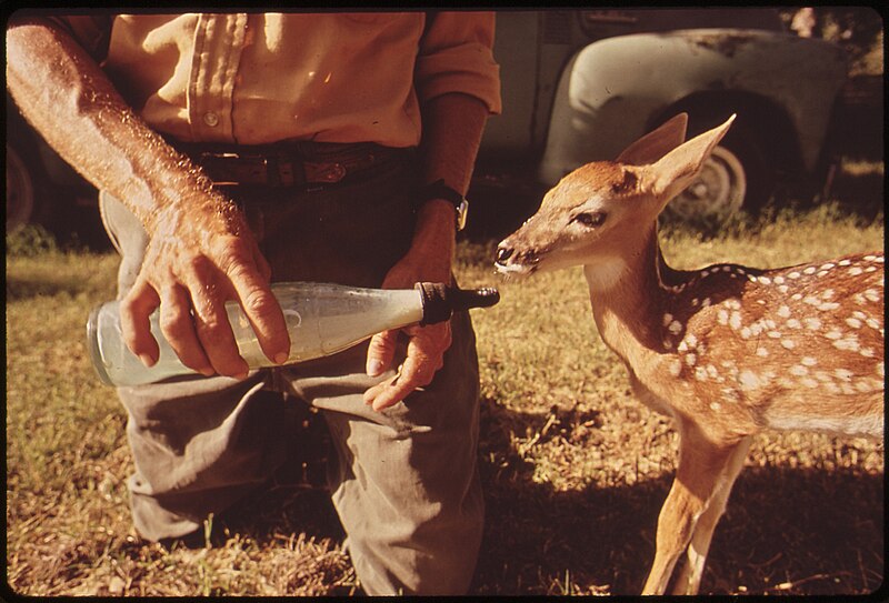 File:GARNER STATE PARK - NARA - 546218.jpg