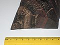 GDCN0024221 banded iron ore (50189269762).jpg