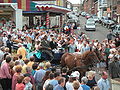 Vignette pour la version du 2 juin 2007 à 17:52