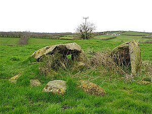 Grania's Grave, Radergan, in 2009 Grainne's Grave, Radergan, Sixmilecross - geograph.org.uk - 1232092.jpg