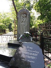 Grave of Borys Chychybabin (2019-07-25) 03.jpg