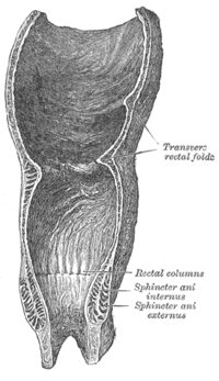 Gyertyák prostatilen a női cystitis és urethritis kezelésében