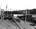 Great Western Lumber Co, Lake Ballinger, Aug 19, 1907 (CURTIS 248).jpeg