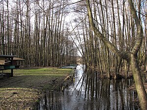 Groß Machnower See, fishing club.jpg