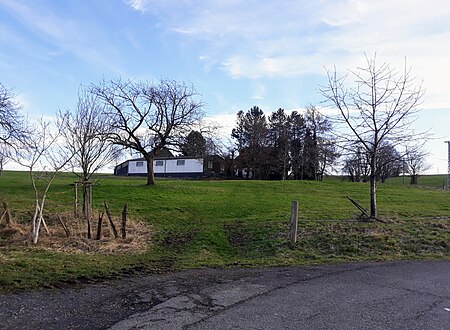 Großeheide