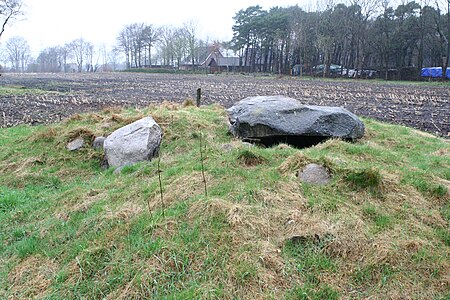 Großsteingrab Deinste 1 03