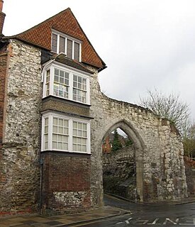 <span class="mw-page-title-main">Surrey Archaeological Society</span>