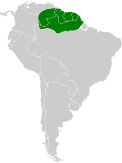 Distribución geográfica del hormiguero gorgirrufo.