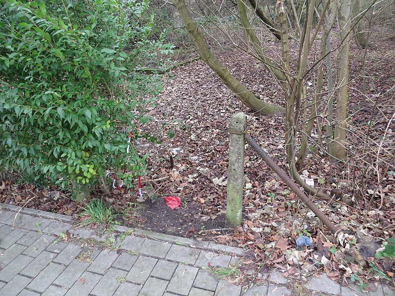 File:Hansi-Garten (Flensburg-Mürwik 2015-01-01), Bild 30.jpg