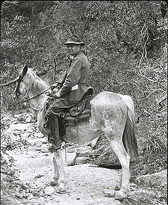 Henry C. Cowles in the Santa Catalina Mountains, Arizona, 1913