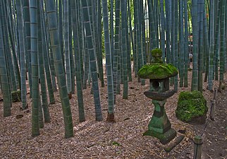 Lanterna di pietra nella foresta di bambù