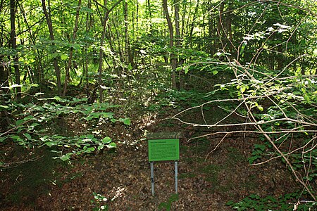 Holzhausen Lichtenstein