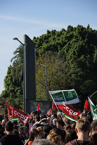 File:Huelga General 14 N en Sevilla (2).jpg