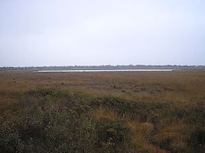 View over the intact Huvenhoopsmoor to the Huvenhoopssee