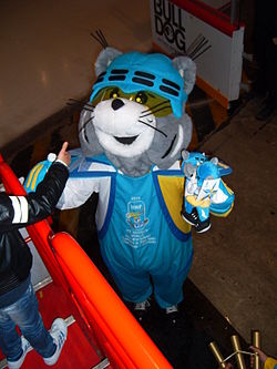 Icy IIHF 2013.jpg