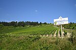 Vignette pour Vignoble de la Basse-Bourgogne