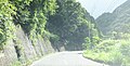 入山辺 よもぎごば林道 (8)