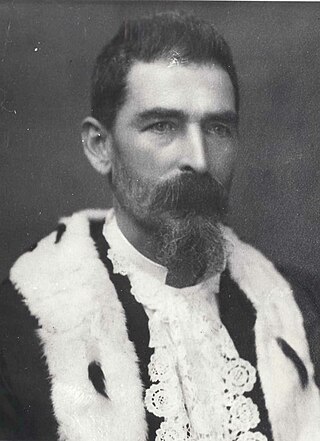 <span class="mw-page-title-main">Isaac Ives</span> Australian politician