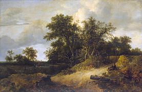 Jacob van Ruisdael - Paysage avec une maison dans un bosquet