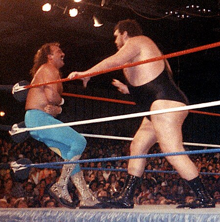 Tập tin:Jake Roberts and Andre.jpg