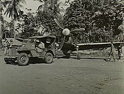 Jeep towing a 78 Squadron Kittyhawk at Hollandia