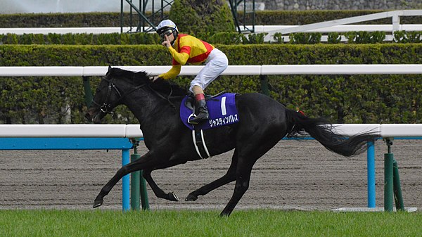 Justin Palace winning the 167th Tenno Sho