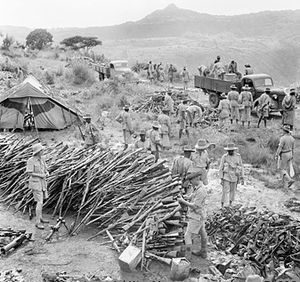 Personel fra King's African Rifles (KAR) samler våben (mest "Carcano 1891" rifler) erobrede fra italienske styrker ved Wolchefit passet i Etiopien den 28. september 1941 ved slutningen af felttoget (fotograf: Lt H. J. Clements).