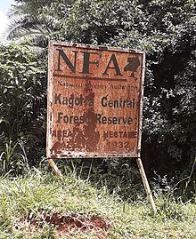 Kagorra Central Forest Reserve - Uganda