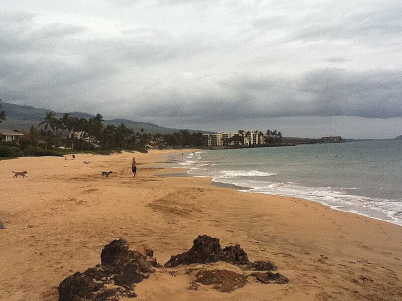 File:Kamaole Beach Park I Maui south view.jpg