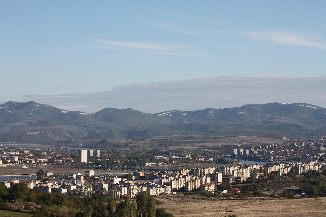 کاردزالی