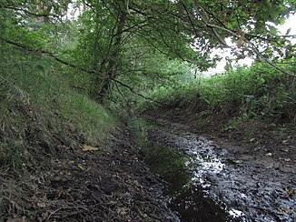 The Kirchenheider Bach with low water between Köpernitz and Dretzen