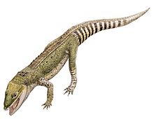 Life restoration of K. langenbergensis Knoetschkesuchus2.jpg