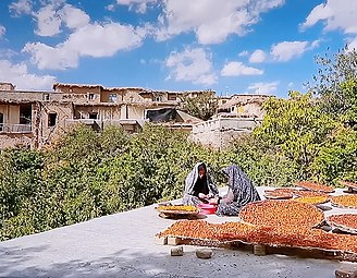 آماده‌سازی آلو بخارا در روستای کره.