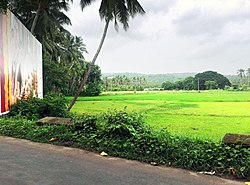 Kottakkal.jpg