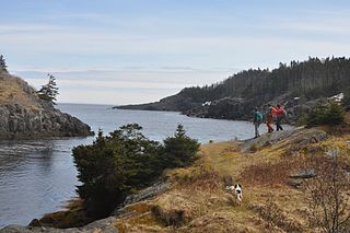 <span class="mw-page-title-main">La Manche Provincial Park</span> Park in Newfoundland and Labrador