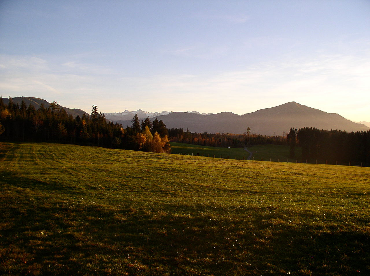 Landschaft Zugerberg Rigi Alpen Zug.jpg