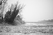 Le Coudray-Montceaux - janvier 2021 - Sous la neige