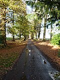 Thumbnail for File:Leaving Pitchford Hall - geograph.org.uk - 4732830.jpg