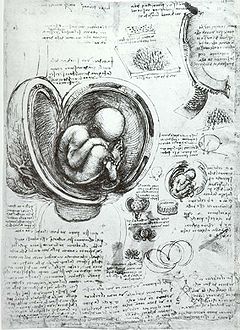 Leonardo Da Vinci: Biografio, Leonardo, pentristo, Leonardo, inventisto