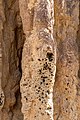 * Nomination Magnetic Termite Mounds, Litchfield National Park, Northern Territory, Australia --XRay 04:12, 27 February 2020 (UTC) * Promotion  Support Good quality -- Johann Jaritz 04:20, 27 February 2020 (UTC)