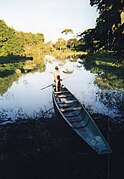 Turistični kovinski bongo na reki Guaratico