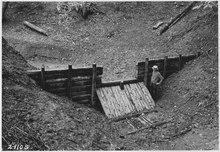 Log dam in a gully, circa 1935, Missouri, US Log dam in a gully - NARA - 286165.tif