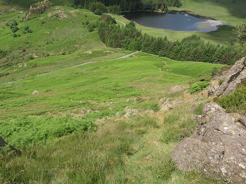 File:Looking down the western side of Lingmoor Fell - geograph.org.uk - 5141198.jpg