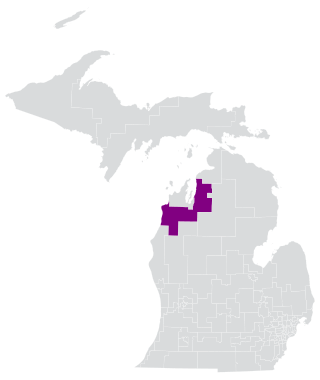 <span class="mw-page-title-main">Michigan's 104th House of Representatives district</span> American legislative district