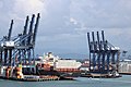 MSC Container Vessel Leanne in Colon Jan 2016 0696 WC.jpg