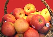 180px-Malus-Cripps-Pink.jpg