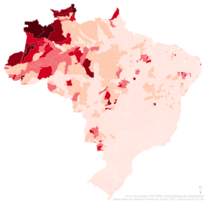 Povos Indígenas Do Brasil: Definição, Origem, As sociedades tradicionais
