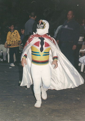 Mascarita Sagrada wearing a mask that covers his entire face.
